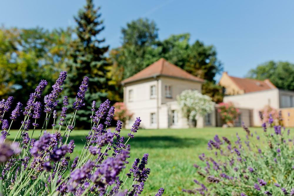 Landhaus Am Jungfernsee Potsdam Dış mekan fotoğraf